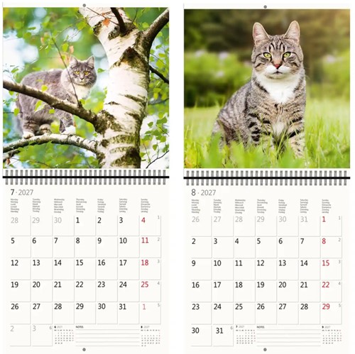 Kalender 2027 Helma 365 30x30cm katten-2