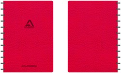 Schrift Adoc Business A4 ruit 5x5mm 144blz 90gr rood