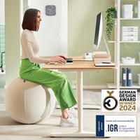 Actieve zitbal Leitz Ergo 65cm anti-rol lichtgrijs-5