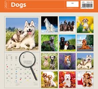 Kalender 2027 Helma 365 30x30cm honden-3