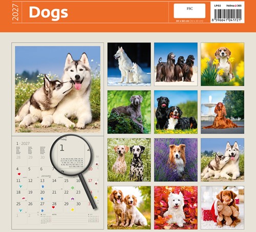 Kalender 2027 Helma 365 30x30cm honden-3