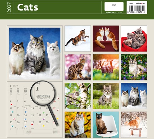 Kalender 2027 Helma 365 30x30cm katten-3