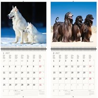 Kalender 2027 Helma 365 30x30cm honden-2