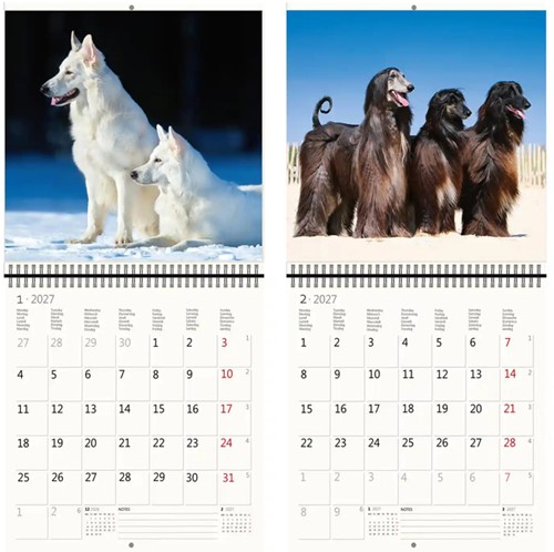Kalender 2027 Helma 365 30x30cm honden-2