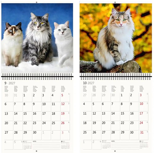 Kalender 2027 Helma 365 30x30cm katten-2