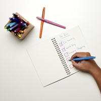 Fineliner Paper Mate Flair original zwart 1.0mm-2