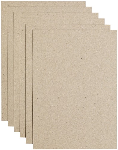 Kopieerpapier Papicolor A4 100gr 12vel kraft grijs