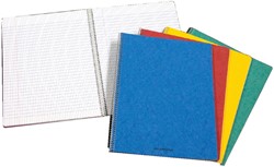 Schrift Aurora A4 lijn 120blz 80gr spiraal assorti