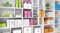 Sorteerbox Leitz WOW Click & Store 280x100x370mm wit-2