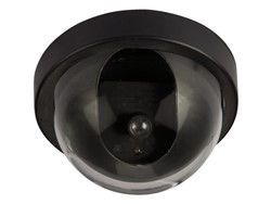 Nepcamera
