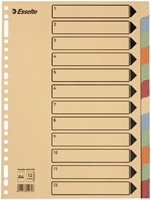 Tabbladen Esselte A4 23-gaats karton 12-delig assorti