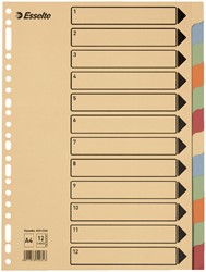 Tabbladen Esselte A4 23-gaats karton 12-delig assorti