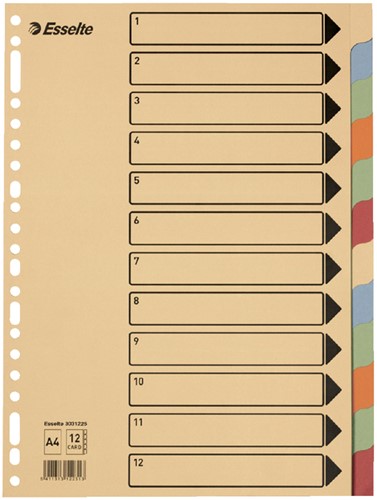 Tabbladen Esselte A4 23-gaats karton 10-delig assorti